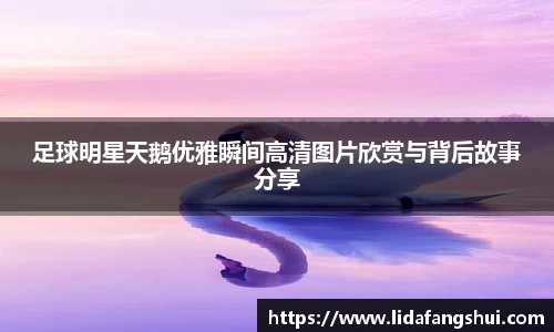 足球明星天鹅优雅瞬间高清图片欣赏与背后故事分享